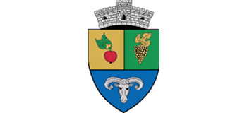 Primăria Ceuas